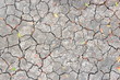 Dry Ground