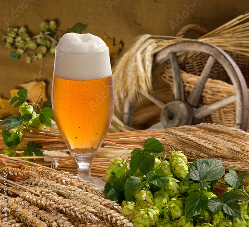 Photo: still life with beer still life with beer
