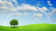 Time Lapse of Grass field and Blue Sky with Moving Cloud Time Lapse of Grass field and Blue Sky with Moving Cloud