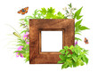 Message of nature