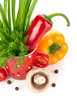 Detalii fotografie fresh spices with vegetables isolated on white background