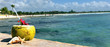 panoramic coconut