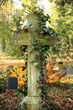 Friedhof 33