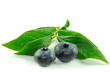 2 Heidelbeeren