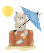 Cat in the vacation