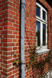 drain  rain pipe architecture