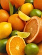 Citrus Fruit Still Life