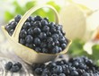 Small Dish of Blueberries; Loose Blueberries