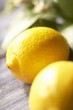 Two Whole Lemons; Close Up