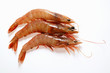 Fresh shrimps