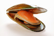 New Zealand mussel, opened