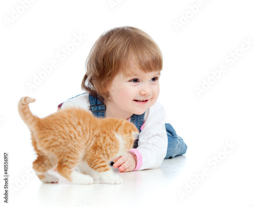 Photo: funny child playing with Scottish kitten funny child playing with Scottish kitten