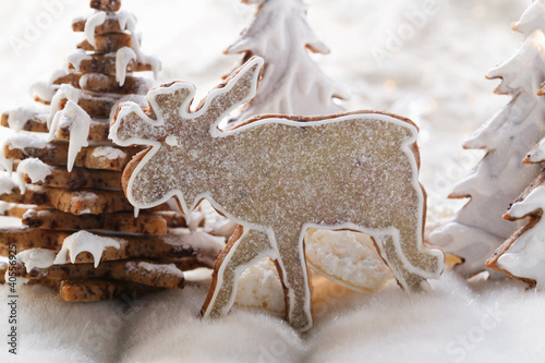 Foto: Chocolate elk biscuit in winter forest Chocolate elk biscuit in winter forest