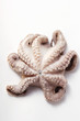 Photo: Fresh octopus Fresh octopus