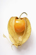 Physalis with calyx