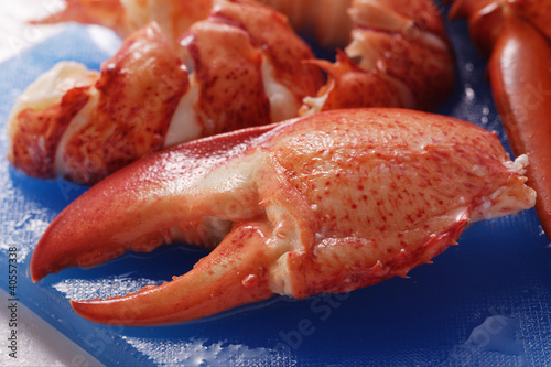 Photo: Lobster, cooked and prepared Lobster, cooked and prepared