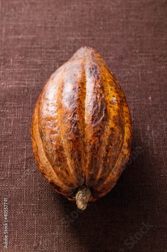 Photo: Cacao pod on brown background Cacao pod on brown background