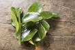 Fresh lemon leaves