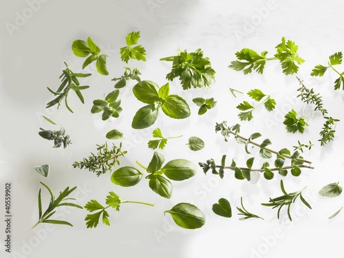 Photo: Fresh herbs: basil, rosemary, thyme, hyssop etc. Fresh herbs: basil, rosemary, thyme, hyssop etc.