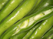 Broad beans in the pod