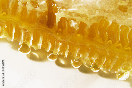 Photo: Close-up of a honeycomb Close-up of a honeycomb