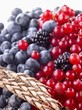 Mixed berries and ear of spelt wheat
