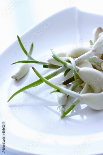 Foto: Cloves of garlic with shoots in a bowl Cloves of garlic with shoots in a bowl