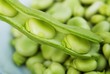 Broad beans, some in pod
