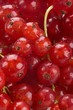 Redcurrants