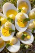 Hard-boiled eggs with mayonnaise on radish sprouts