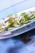 Spring salad with radishes and young birch leaves