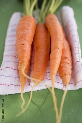 Photo: Fresh carrots on tea towel Fresh carrots on tea towel