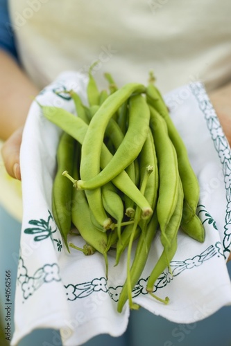 Photo: Hands holding green beans on cloth Hands holding green beans on cloth
