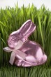 Pink chocolate Easter Bunny in grass