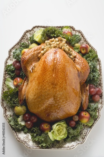 Photo: Stuffed turkey on platter (overhead view) Stuffed turkey on platter (overhead view)