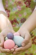 Foto: Hands holding coloured eggs Hands holding coloured eggs