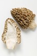 Fresh morel, halved