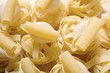Various types of pasta (full-frame)