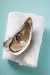 Fresh oyster with pearl on towel
