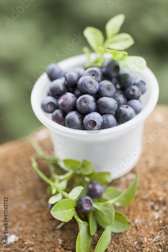 Photo: Blueberries in plastic tub Blueberries in plastic tub