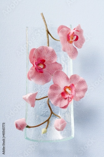 Photo: Stem of pink orchids in glass dish Stem of pink orchids in glass dish