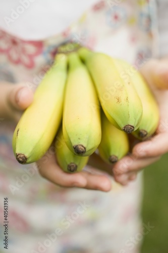 Foto: Child's hands holding bunch of bananas Child's hands holding bunch of bananas