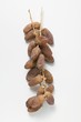 Dates on the stalk