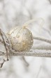 Foto: Christmas bauble on frost-covered branch out of doors Christmas bauble on frost-covered branch out of doors