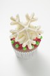 Cupcake for Christmas
