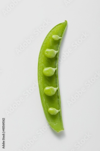 Photo: Half a pea pod Half a pea pod