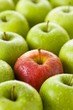 One red apple among green apples