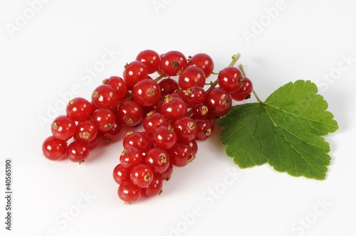 Photo: Redcurrants with leaf Redcurrants with leaf