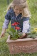 Little girl planting flowers in terracotta planter