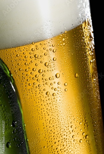 Foto: Glass of lager with condensation (close-up) Glass of lager with condensation (close-up)